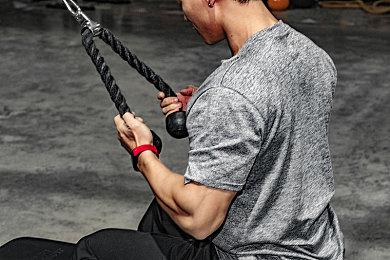 拍照+换装！《皮克敏4》将于11月推出大型更新